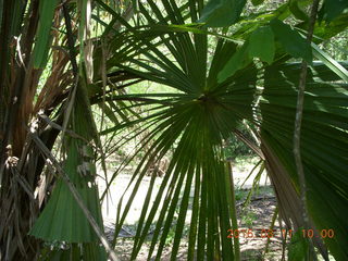 36 99b. Indonesia - Komodo Island