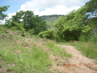 58 99b. Indonesia - Komodo Island