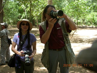 Indonesia - Komodo Island dragons