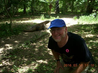 Indonesia - Komodo Island - dragon and Adam +++