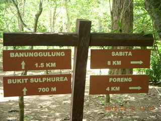 Indonesia - Komodo Island dragon walking