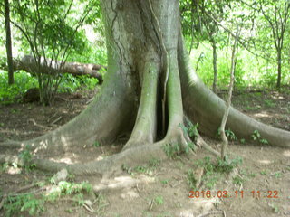 110 99b. Indonesia - Komodo Island