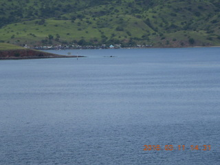 Indonesia - Komodo Island - cool bowl