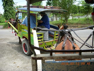 Indonesia - Lombok - horse-drawn carriage ride