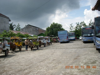 Indonesia - Lombok - horse-drawn carriage ride