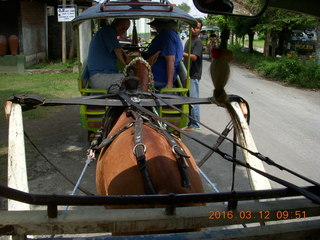 Indonesia - Lombok - horse-drawn carriage ride