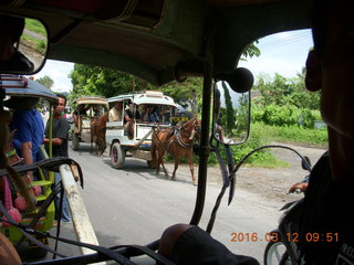 Indonesia - Lombok - horse-drawn carriage ride