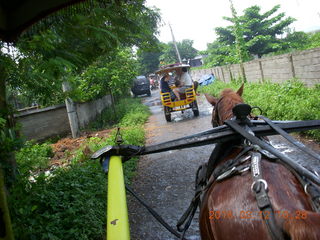 Indonesia - Lombok - horse-drawn carriage ride back
