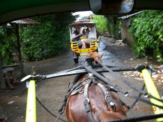 Indonesia - Lombok - horse-drawn carriage ride back