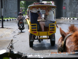 Indonesia - Lombok - horse-drawn carriage ride back - Angela and Terry