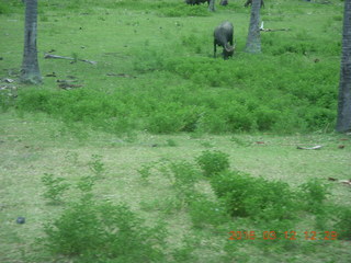 Indonesia - Lombok - bus ride