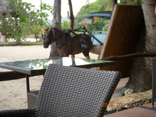 Indonesia - Lombok - Novotel lunch and beach