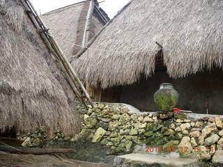 Indonesia - Lombok - last village - bird