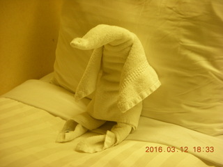 towel-folded animal