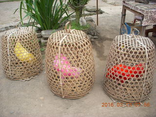 14 99d. Indonesia - Bali - Tenganan village - colored birds