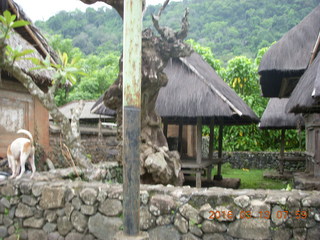 Indonesia - Bali - Tenganan village