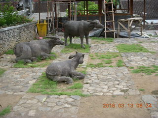 Indonesia - Bali - Tenganan village