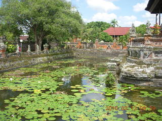 Indonesia - Bali - temple at Klungkung - lilies in the moat