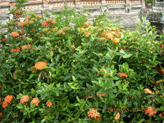Indonesia - Bali - temple at Klungkung - flowers