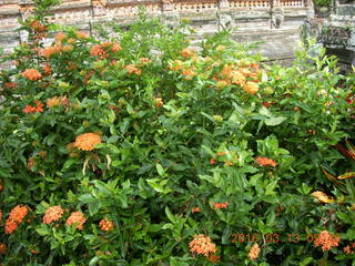 Indonesia - Bali - bus ride