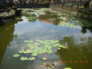Indonesia - Bali - temple at Klungkung - moat with lilies
