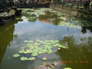 179 99d. Indonesia - Bali - temple at Klungkung - moat with lilies