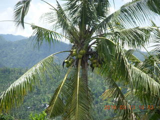 Indonesia - Bali - lunch with hilltop view