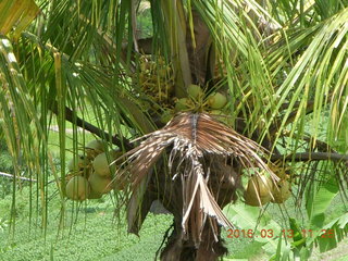 217 99d. Indonesia - Bali - lunch with hilltop view