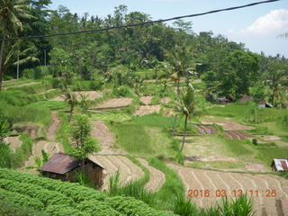 Indonesia - Bali - lunch with hilltop view