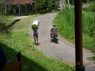 Indonesia - Bali - lunch with hilltop view - worker carrying a load