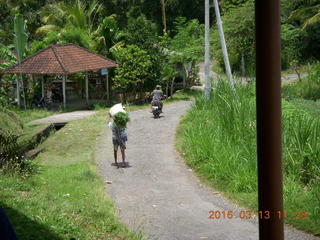 Indonesia - Bali - lunch with hilltop view - worker carrying a load