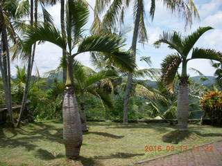 Indonesia - Bali - lunch with hilltop view - cool trees