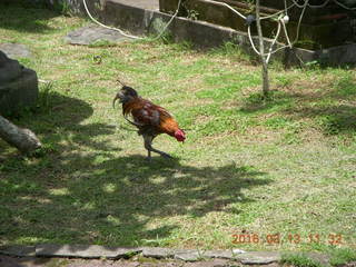 Indonesia - Bali - lunch with hilltop view - Coke bottle