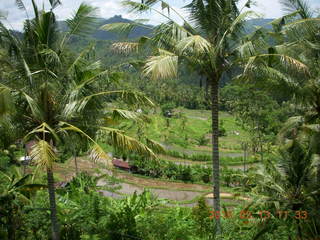 Indonesia - Bali - lunch with hilltop view