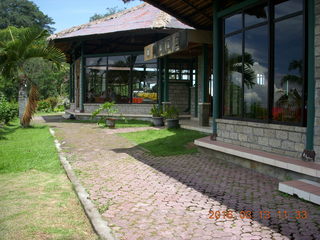 Indonesia - Bali - lunch with hilltop view - cat