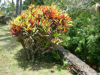 226 99d. Indonesia - Bali - lunch with hilltop view