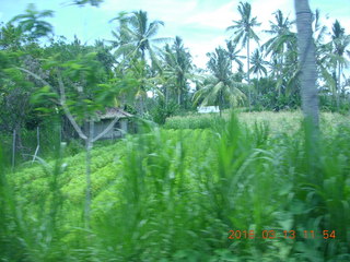 Indonesia - Bali - lunch with hilltop view