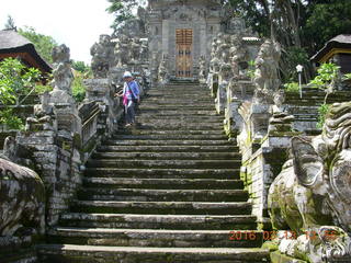 Indonesia - Bali - Temple at Bangli - giant banyon tree + Adam +++