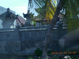 Indonesia - Bali - Temple at Bangli - treehouse in giant banyon tree