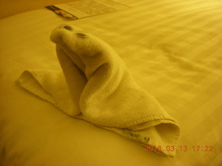 towel animal