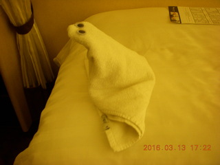 towel animal