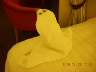 towel animal