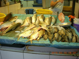 Malaysia - Kuala Lumpur food tour - fish