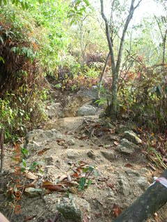 Malaysia - Kuala Lumpur - Exciting Mountain Hike