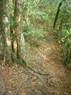 Malaysia - Kuala Lumpur - Exciting Mountain Hike