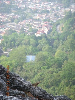 Malaysia - Kuala Lumpur - Exciting Mountain Hike - Mathieu