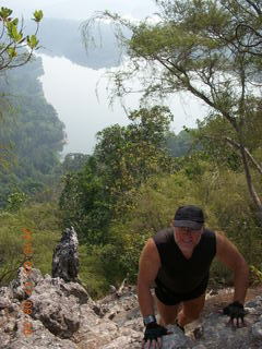 Malaysia - Kuala Lumpur - Exciting Mountain Hike - lizard