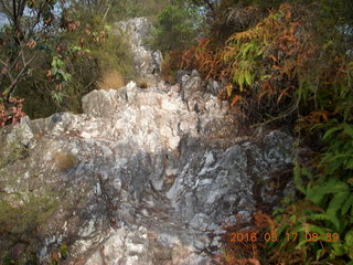 Malaysia - Kuala Lumpur - Exciting Mountain Hike - where the lizard just ran away