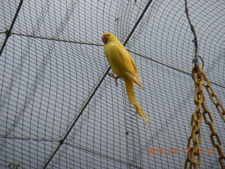 109 99h. Malaysia - Kuala Lumpur - KL Bird Park