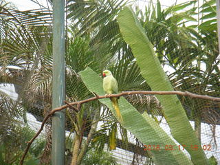 Malaysia - Kuala Lumpur - KL Bird Park